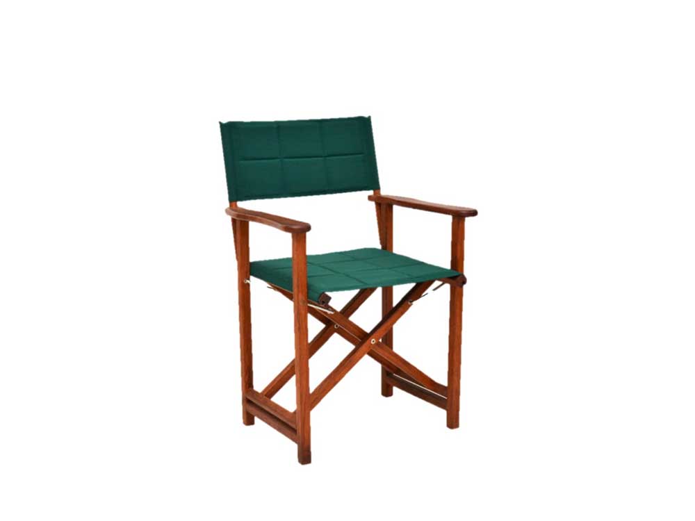 Bayview Director Chair Sling